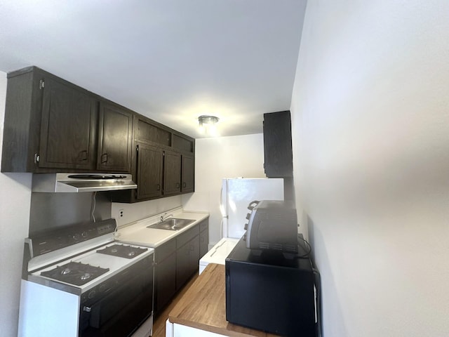 kitchen with dark brown cabinetry, sink, and white appliances