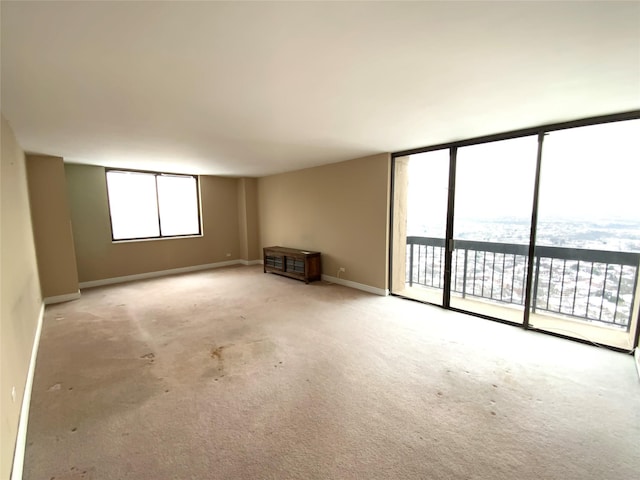 carpeted empty room with a wall of windows