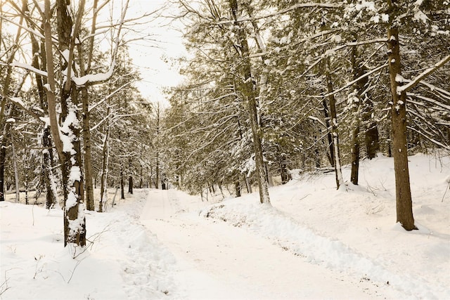 view of snowy landscape