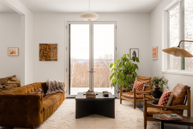 living area with carpet floors and a wealth of natural light