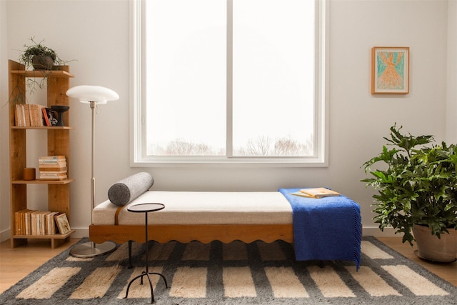 living area featuring wood finished floors