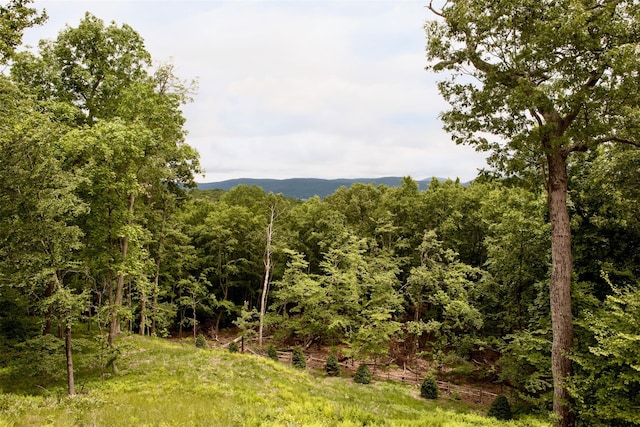 property view of mountains featuring a forest view