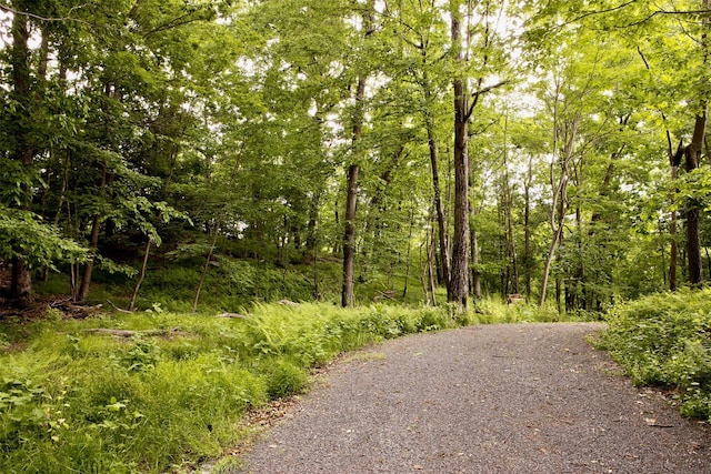 view of home's community featuring gravel driveway and a forest view