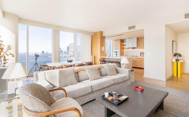 living room with a water view, sink, and light hardwood / wood-style flooring