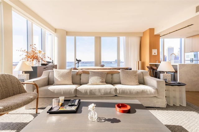 living room with plenty of natural light