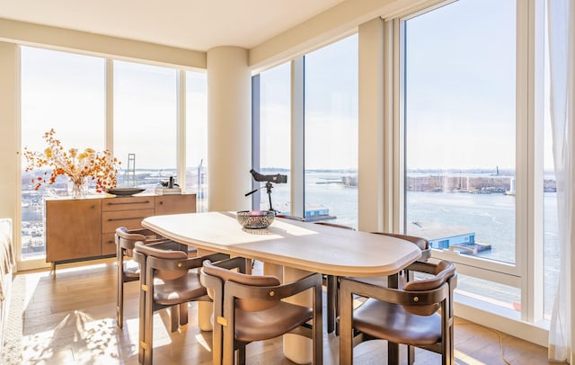 dining room featuring a water view and light wood-type flooring