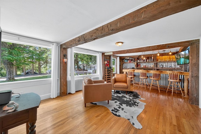 50 Maple Ave, Goshen, NY 10924 - living area featuring radiator heating unit, wood finished floors, and bar