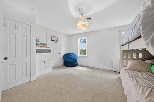 50 Maple Ave, Goshen, NY 10924 - bedroom with radiator heating unit and carpet flooring