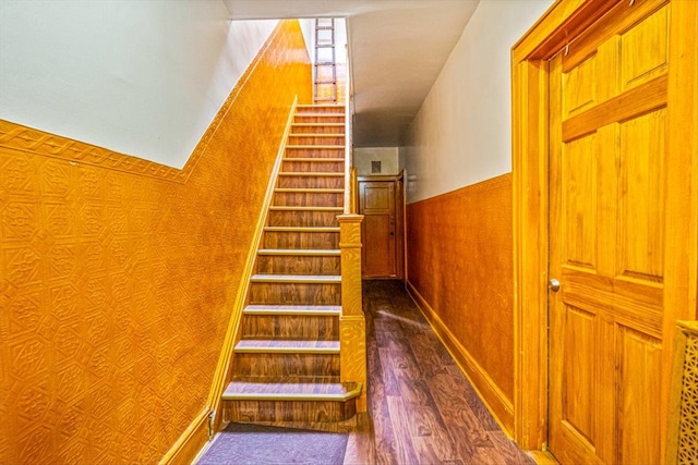 staircase with hardwood / wood-style floors