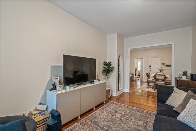 living room with wood-type flooring