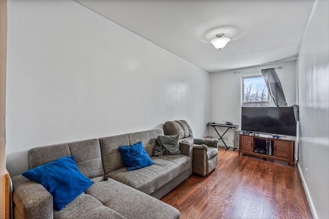 living room with dark wood-type flooring