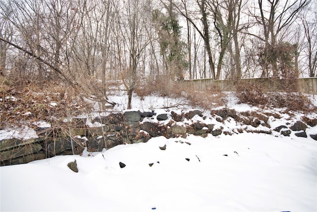 view of yard covered in snow