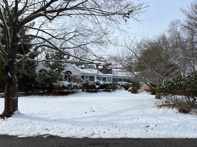 view of yard layered in snow