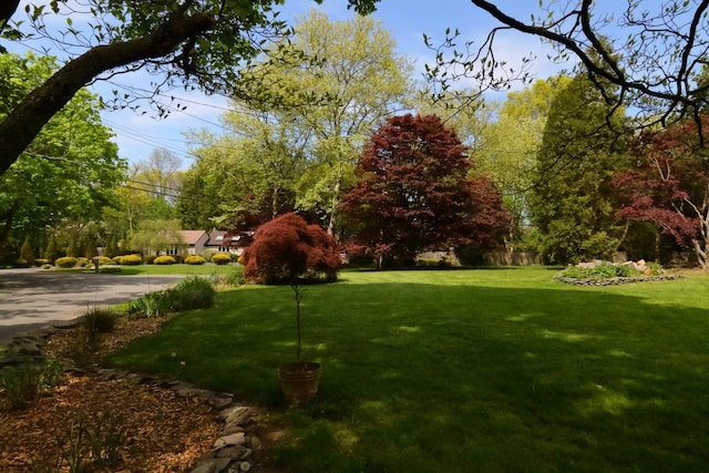 view of property's community featuring a lawn