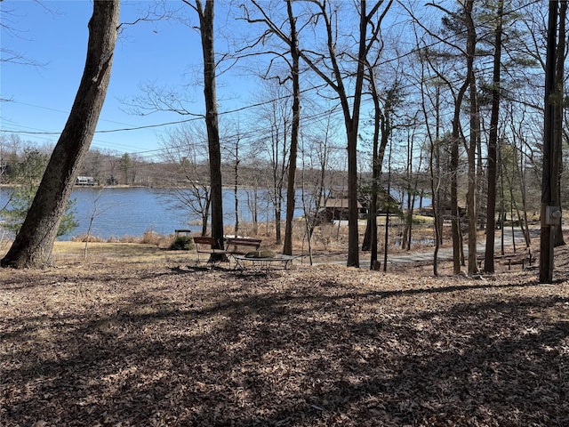 4 Antlers Club Rd, Pine Plains, NY 12567 - photo 5