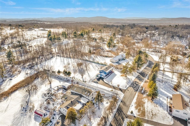 snowy aerial view featuring a mountain view