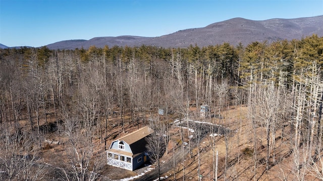 property view of mountains