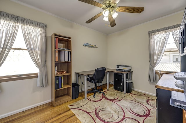 office space with ornamental molding, ceiling fan, and light wood-type flooring