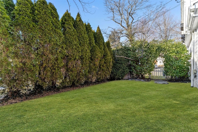 view of yard featuring fence