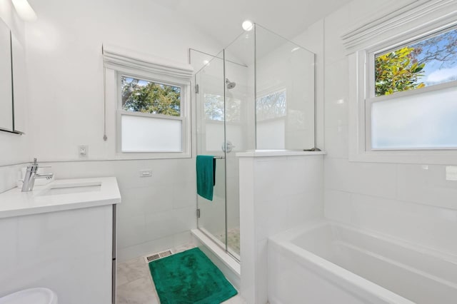 full bathroom with a garden tub, a stall shower, a wealth of natural light, and vanity