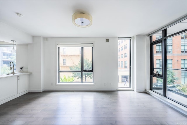 interior space featuring sink and wood-type flooring