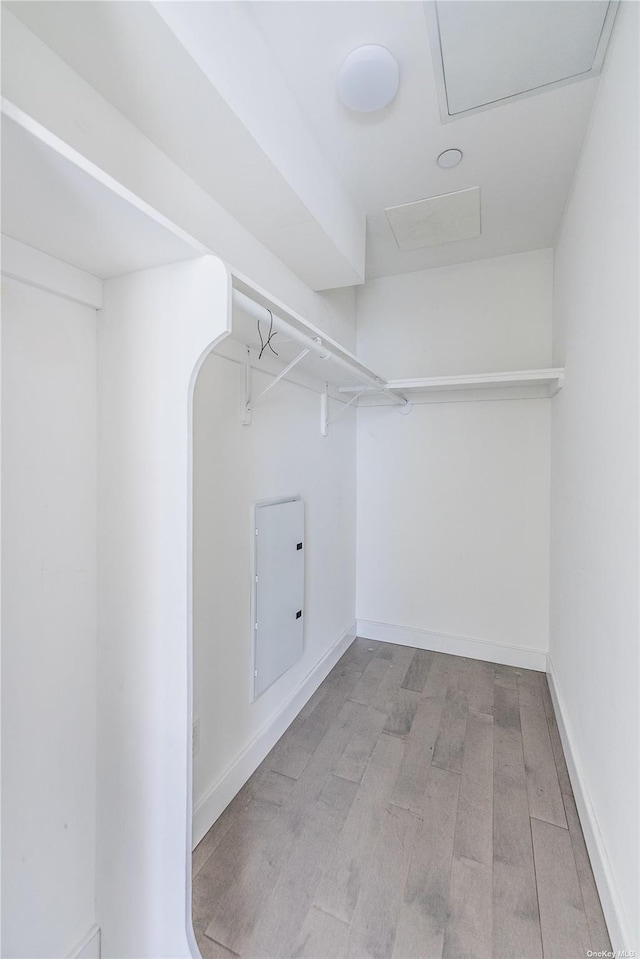 spacious closet featuring electric panel and light hardwood / wood-style flooring