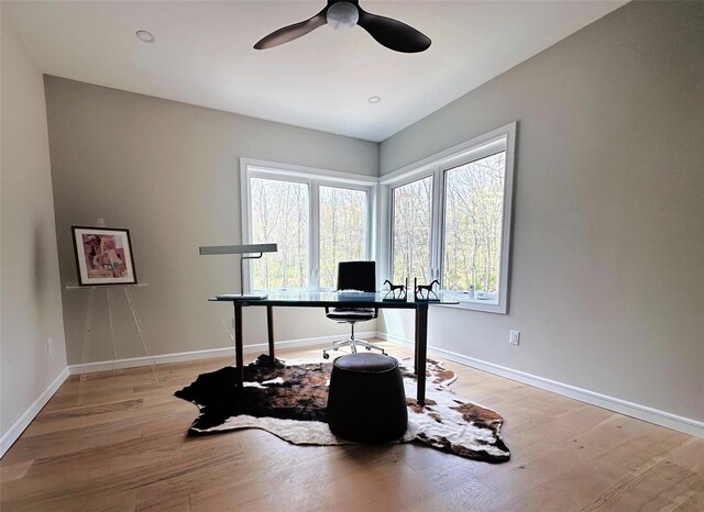 home office with baseboards, a ceiling fan, and light wood finished floors