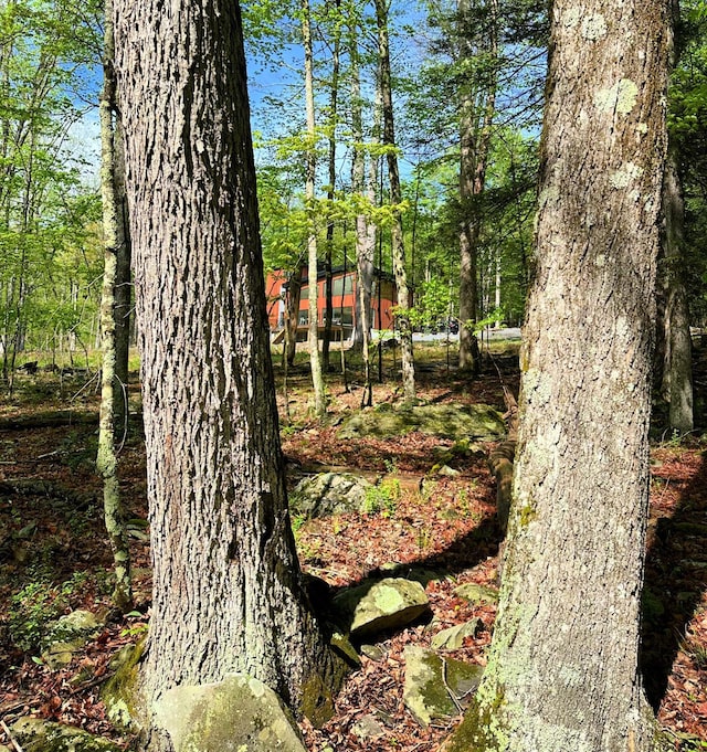 30 Narrow Rd, Kingston, NY 12401 - photo 43