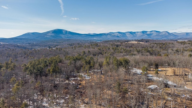 30 Narrow Rd, Kingston, NY 12401 - photo 40