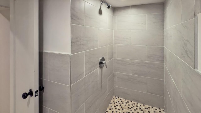 room details with tiled shower