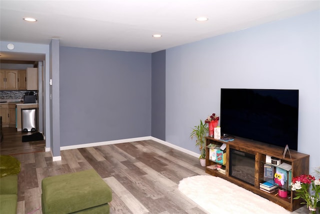 living room featuring hardwood / wood-style floors