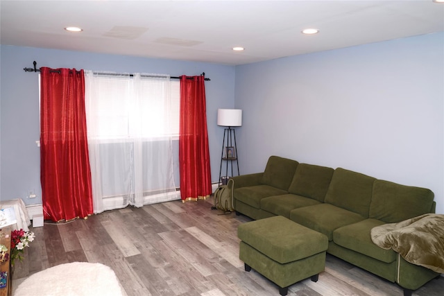 living room featuring wood-type flooring