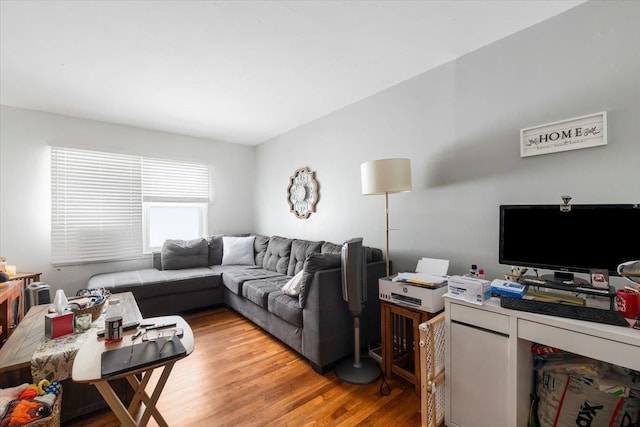 living room with light hardwood / wood-style flooring