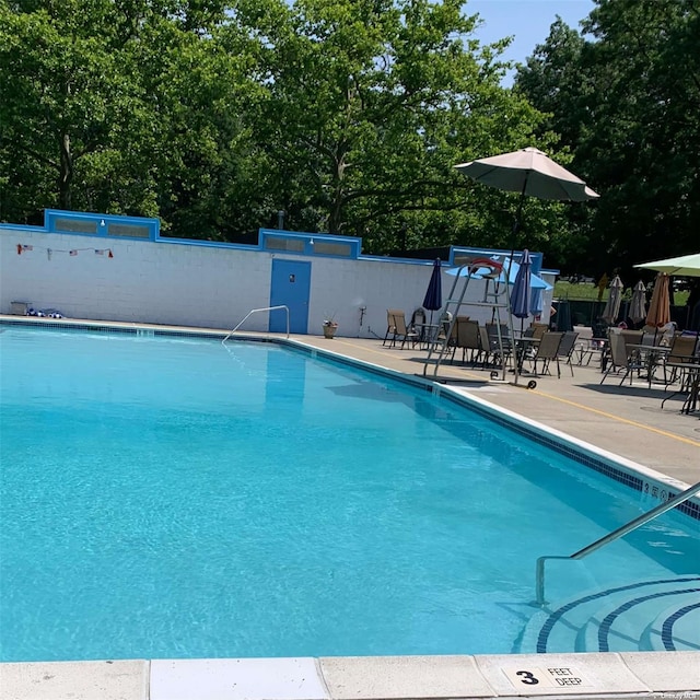 view of swimming pool with a patio