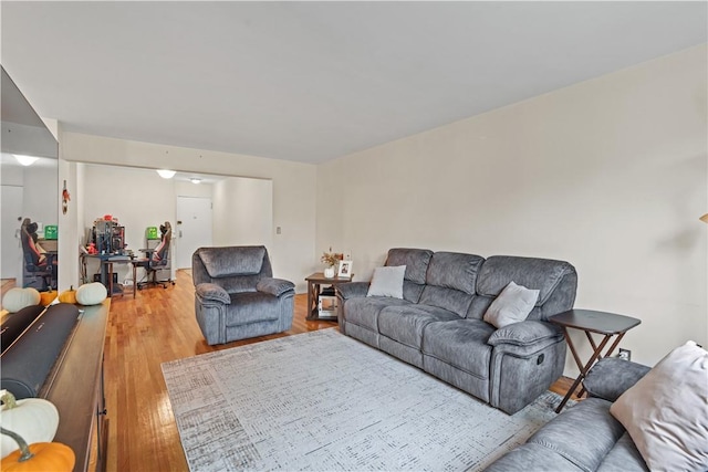 living room with hardwood / wood-style floors