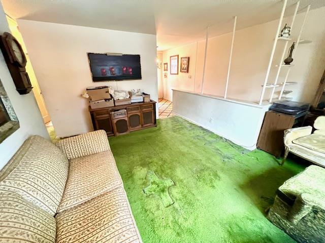 living room featuring carpet flooring