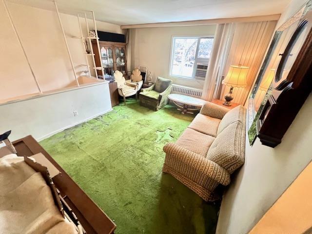 sitting room with carpet floors and radiator heating unit