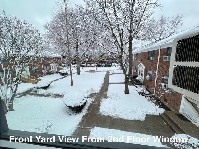 view of snowy yard