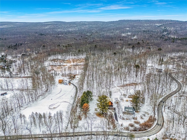 Aumick Rd, Wallkill NY, 12525 land for sale