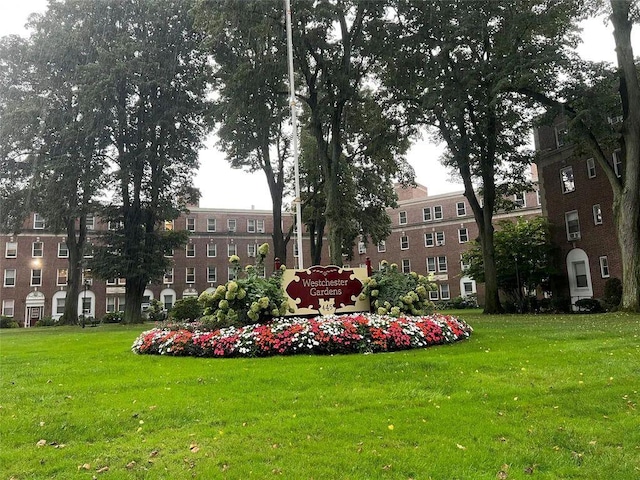 view of community with a yard