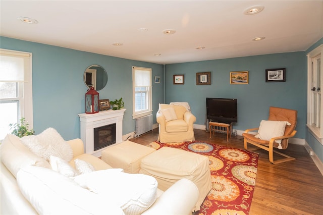 807 Lucas Avenue Ext, Hurley, NY 12443 - living room with radiator heating unit, wood finished floors, recessed lighting, a glass covered fireplace, and baseboards
