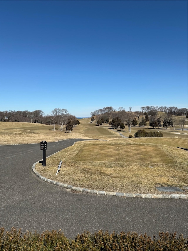 view of road with a rural view and curbs