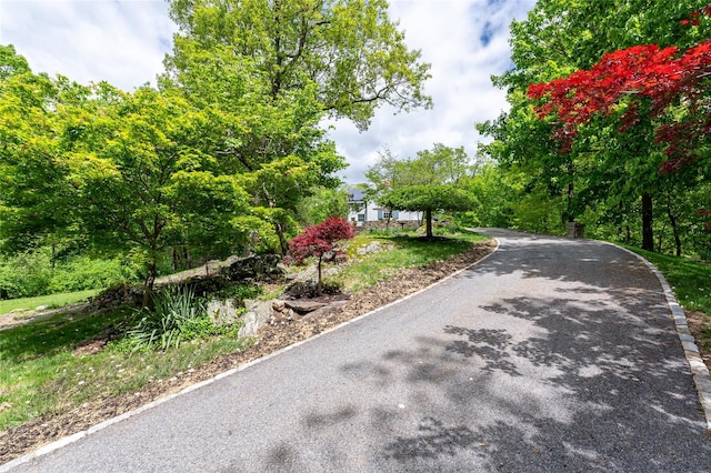 58 Spring Ln, Chappaqua, NY 10514 - view of street