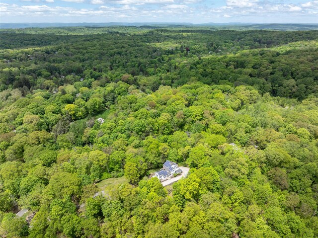 58 Spring Ln, Chappaqua, NY 10514 - bird's eye view of a forest