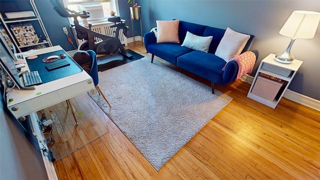 living room with hardwood / wood-style flooring