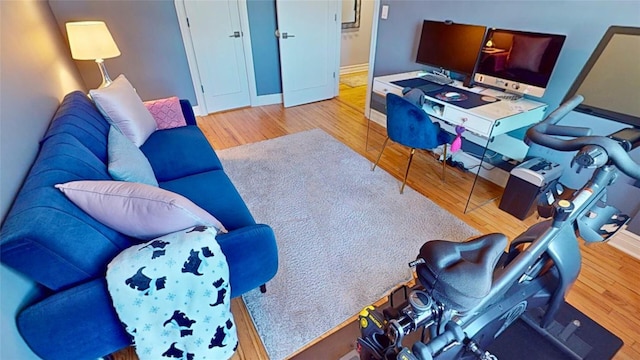 home office featuring light hardwood / wood-style floors