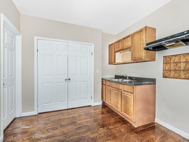 kitchen featuring dark hardwood / wood-style flooring, range hood, and sink