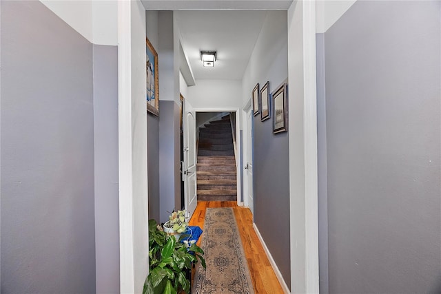 hall featuring hardwood / wood-style flooring