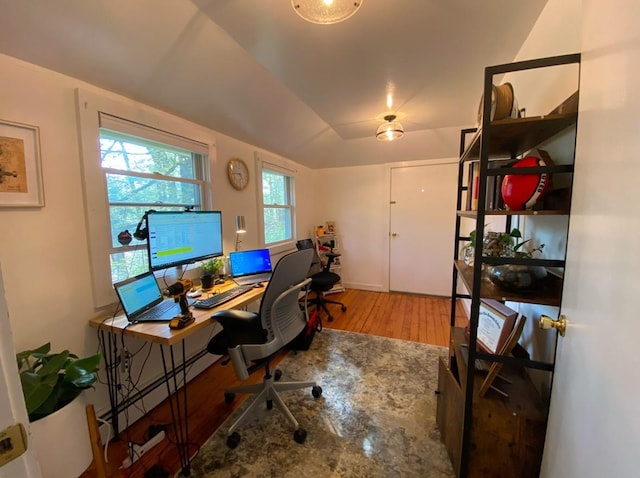 office area featuring hardwood / wood-style floors