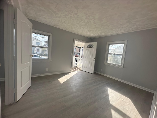 foyer with dark hardwood / wood-style flooring, a textured ceiling, and a healthy amount of sunlight